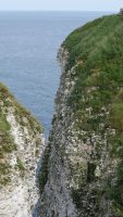 P1080314 bemtoncliffs