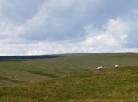 YorkshirePanorama
