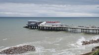 Cromer P1080757