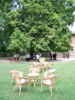 Hochzeit, Canale d´Alba, 2006